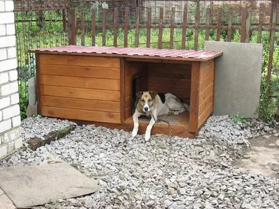 Утепленная и отапливаемая будка для собаки