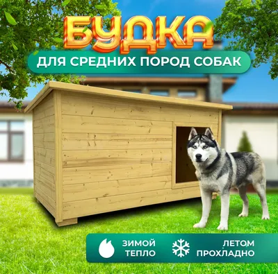 Будка своими руками для собаки. Booths for dogs with their own hands. -  YouTube
