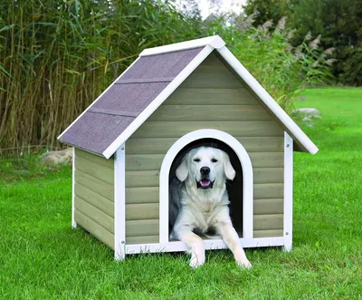 ≡ Утепленная будка для собаки \"Харви\" на заказ в Киеве | Woodom