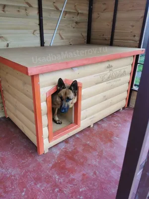 Какого размера должна быть будка у собаки? - Homewoods