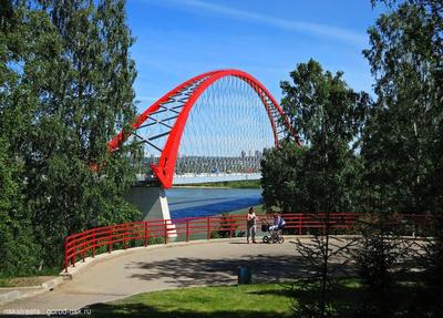 Правобережная эстакада Бугринского моста через реку Обь в г. Новосибирске -  Трансмост