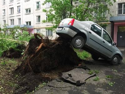 Ураган в Москве 10 июля - есть погибшие, фото и видео последствий - 24 Канал