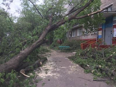 На Москву обрушился ураган, будь готов. Обновлено