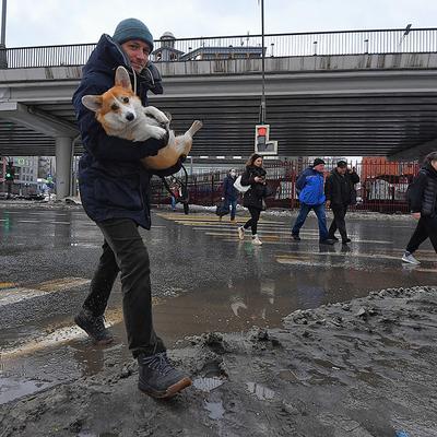 Ураган в Москве: удары молний в Москва-Сити и Останкинскую башню попали на  видео - TOPNews.RU