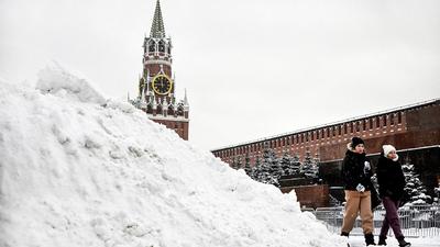 Ураган в Москве - Энциклопедия роз