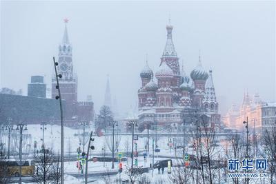 В интернет выложили фото и видео сильнейшего урагана в Москве - Российская  газета