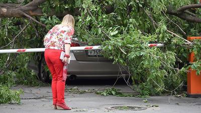 Ливень, гроза и сильные порывы ветра ожидаются в Москве в ближайшие часы /  30 июня 2023 | Москва, Новости дня 30.06.23 | © РИА Новый День