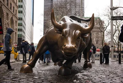 Bull in Lower Manhattan, New York, NY, USA Stock Photo - Alamy