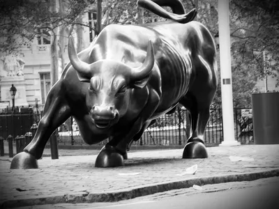 New York City NY Charging Bull 5 Piece Canvas Print Wall Art Home  Decoration | eBay