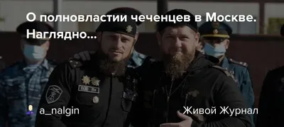 Ребята показали, на что способны». Как в Новой Москве появился и исчез « чеченский» патруль – МБХ медиа