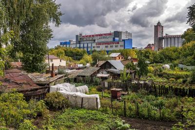 На выставке «Челябинск – город будущего» представлен проект  межуниверситетского кампуса