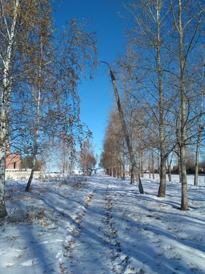 Погода в Челябинске 2 ноября 2022 снег
