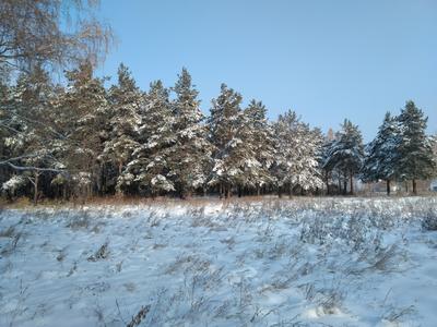 Ледовый городок на площади Революции разберут 24 февраля | Культура | АиФ  Челябинск