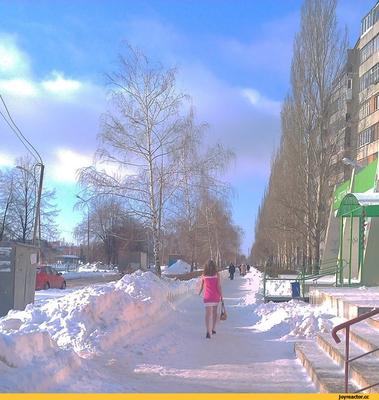 Жители пригородов Челябинска оказались отрезаны от города снежными валами |  26.12.2023 | ИА SM.News