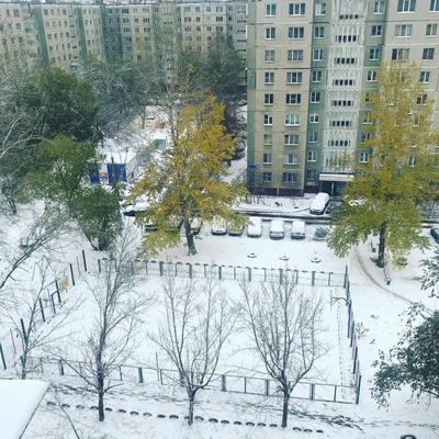 Зима пришла: челябицы поделились фотографиями первого снега | Pchela.news -  Новости в Челябинске