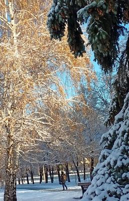 На Челябинск второй раз за неделю обрушился аномальный снегопад