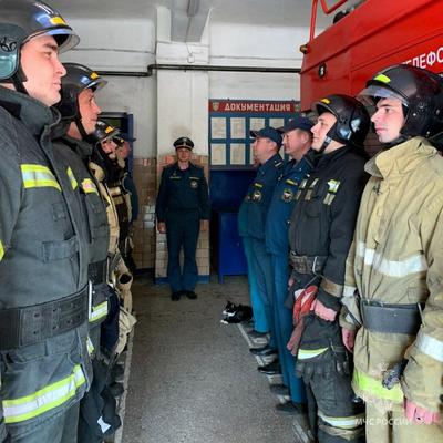 Она их провоцировала»: в промзоне свора собак растерзала женщину. Репортаж  с места | В Переславле собаки напали на женщину, история, подробности, как  всё было | Собаки убили женщину в Переславле - 12 февраля 2022 - 76.ру