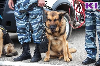 Семья с двумя детьми забрала пса, которого хозяйка бросила в мороз у  ветклиники в Челябинске