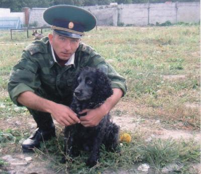 МОСКОВСКАЯ СТОРОЖЕВАЯ собака. Плюсы и минусы породы MOSCOW GUARD DOG -  YouTube