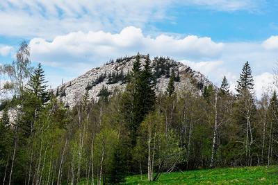 Черная сопка Красноярск фото фотографии