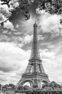 Эйфелева Башня, Париж. Черно-белое Изображение Фотография, картинки,  изображения и сток-фотография без роялти. Image 12639331