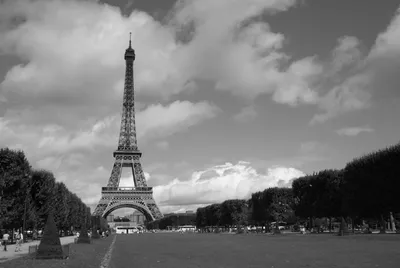 Фотообои Чёрно-белый Париж