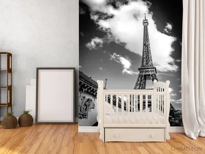 черно белое фото фотограф в париже портрет | Фотограф в париже