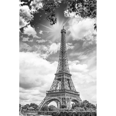 Эйфелева башня черно-белая роспись парижских обоев - TenStickers