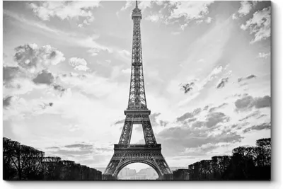 Фотообои \"Париж. Черно белая графика\" С-023 (1 полотно), 95x220 см