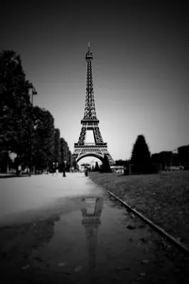 картинки : легкий, черное и белое, ночь, Эйфелева башня, Париж, городской  пейзаж, смеркаться, Франция, вечер, Размышления, Башня, Ориентир, Темнота,  монохромный, Симметрия, Форма, Монохромная фотография 3168x4752 - - 722070  - красивые картинки - PxHere