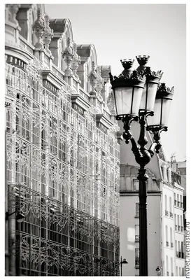 Черно белые картины Париж, Фотокартина город «Парижские кружева»