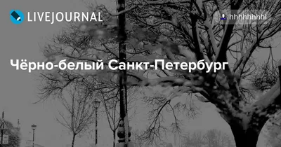 Картинка Зима в Санкт-Петербурге » Черно-белые » Картинки 24 - скачать  картинки бесплатно