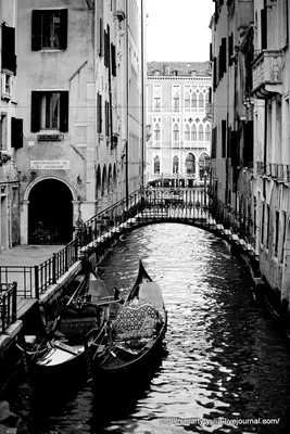 Черно белые фото Венеции
