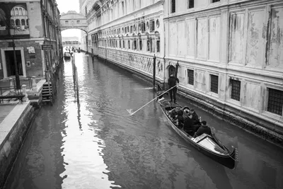 Черно-белая открытка от Венеции Редакционное Стоковое Фото - изображение  насчитывающей европа, деталь: 96450778