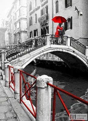 Вид Венеции в черно-белом стоковое фото ©izanbar 37381621