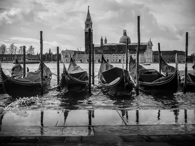 Классика Венеции — Фото №236907