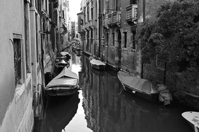 Стены Венеции — Фото №7073