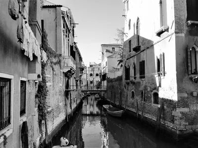 На чем на самом деле стоит Венеция