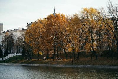 Каток в казанском парке «Черное озеро» завершает свою работу - Новости -  Официальный портал Казани