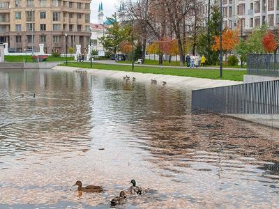 Парк «Черное озеро» в Казани отказался от крупных мероприятий | Вести  Татарстан