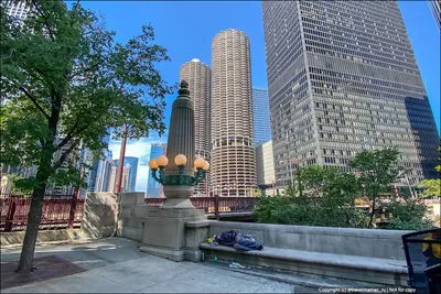 Чикаго — Википедия