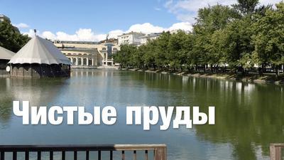 Парк Чистые пруды, Москва. Территория и достопримечательности, фото, видео,  как добраться, отели – Туристер.Ру