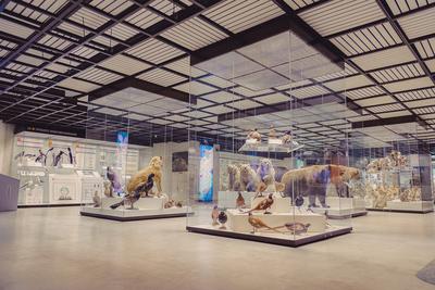Дарвиновский музей - путешествие по разным этапам теории эволюции | WORLD  PODIUM