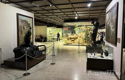 Дарвиновский музей в Москве: фото, цены, история, отзывы, как добраться
