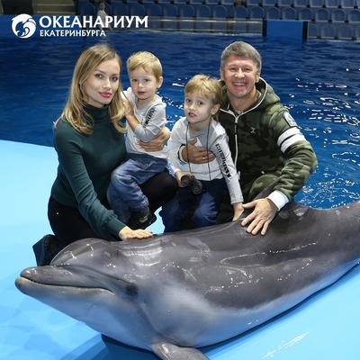 В Свердловской области разрешили работать дельфинариям | Уральский меридиан