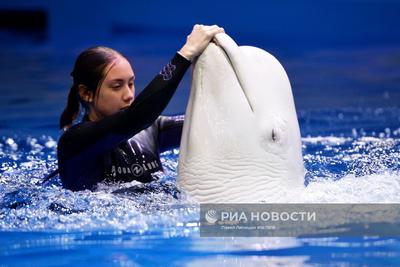 Особенности океанариума Океанариум в Екатеринбурге, улица Щербакова, 2Б —  Яндекс Карты