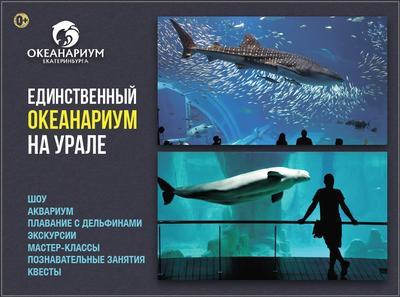 Передвижной дельфинарий, Екатеринбург. Карта, фото, как добраться –  путеводитель по городу на EkMap.ru