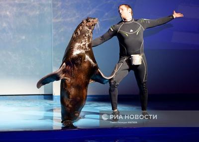 Океанариум в Екатеринбурге официальный сайт , цены , билеты , расписание на  шоу