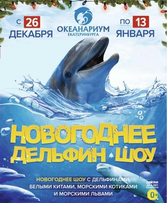 Океанариум Екатеринбурга, Екатеринбург - «Океанариум. Круто. Много рыб,  которых нельзя съесть, а очень хочется... Ну и видео с акулами. И не  только.» | отзывы