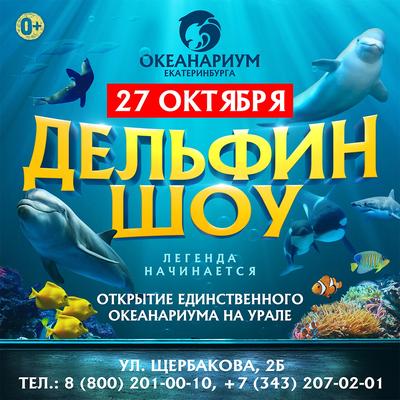 Океанариум в Екатеринбурге | Глобус Удмуртии | Дзен